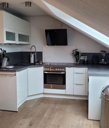Apartment Schwarzwaldmaedel Friedenweiler Екстер'єр фото