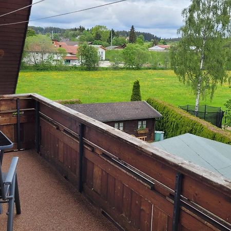 Apartment Schwarzwaldmaedel Friedenweiler Екстер'єр фото