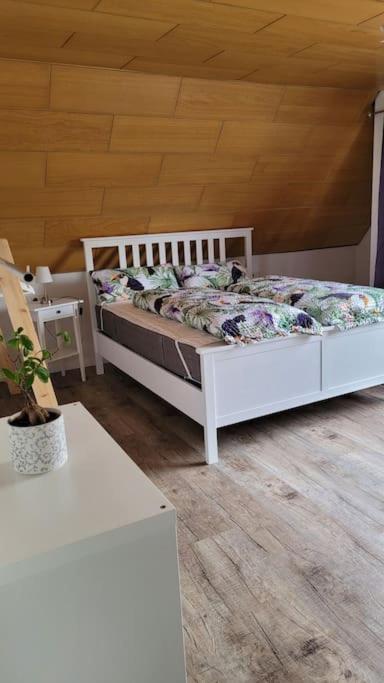 Apartment Schwarzwaldmaedel Friedenweiler Екстер'єр фото