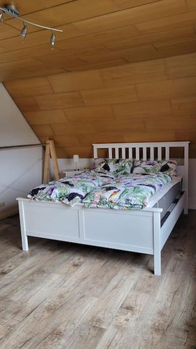 Apartment Schwarzwaldmaedel Friedenweiler Екстер'єр фото