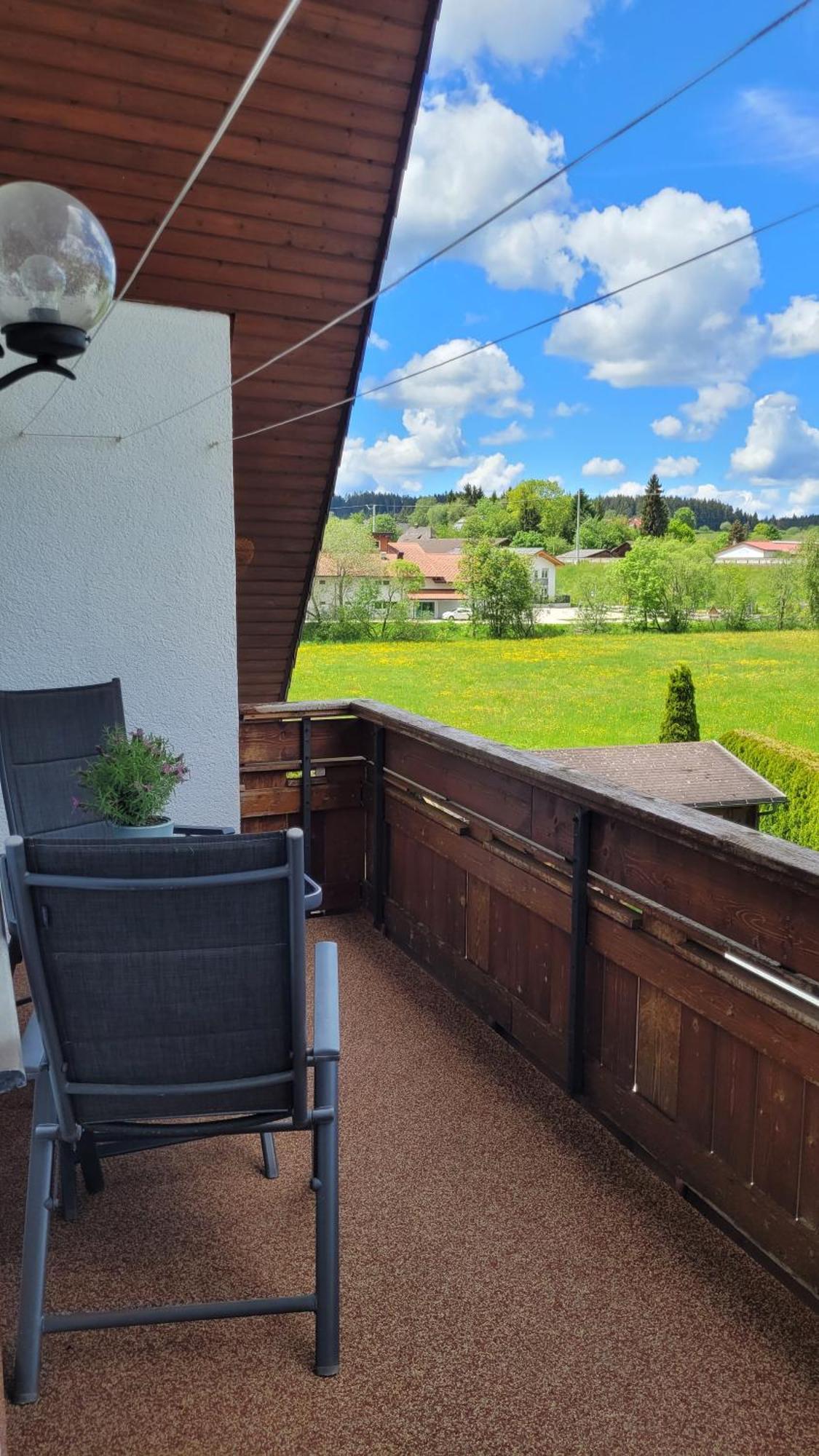 Apartment Schwarzwaldmaedel Friedenweiler Екстер'єр фото